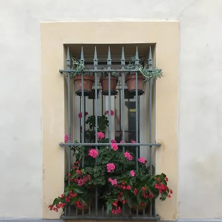Bed & Breakfast Haute Montpellier
